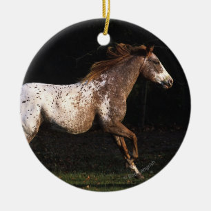 Ornamento De Cerâmica Cavalo do Appaloosa que funciona 4