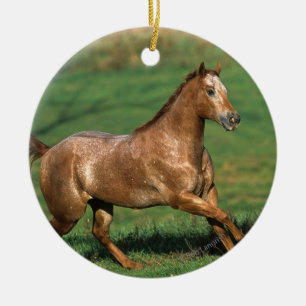 Ornamento De Cerâmica Cavalo do Appaloosa que funciona no campo gramíne
