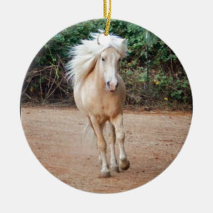Ornamento De Cerâmica Cavalo do Palomino
