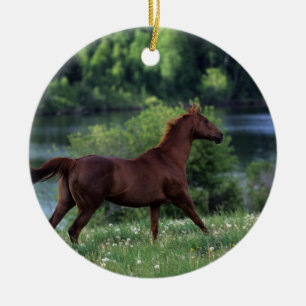 Ornamento De Cerâmica Cavalo do puro-sangue que está nas flores