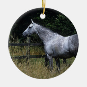 Ornamento De Cerâmica Cavalo do puro-sangue que está pela cerca