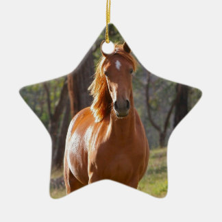 Ornamento De Cerâmica Cavalo lindo de Brown da castanha no campo