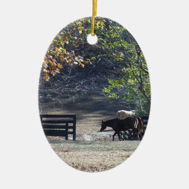 Ornamento De Cerâmica Cavalo Marrom andando pela cerca (Frente)