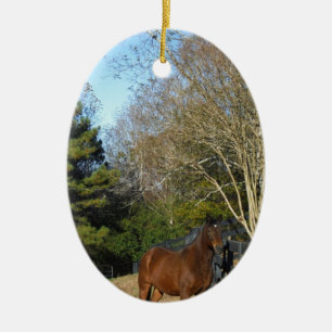 Ornamento De Cerâmica Cavalo Marrom Contra uma Cerca