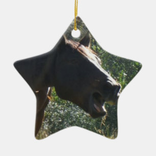 Ornamento De Cerâmica Cavalo no outono