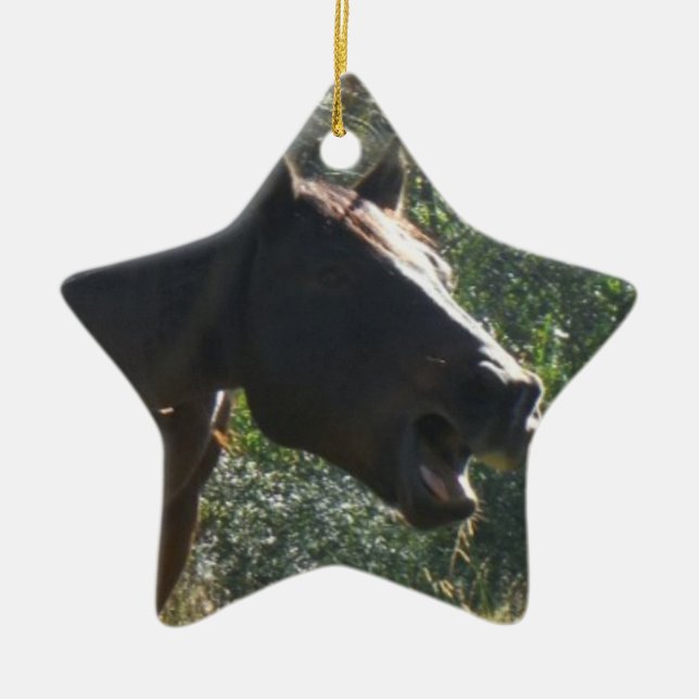 Ornamento De Cerâmica Cavalo no outono (Frente)