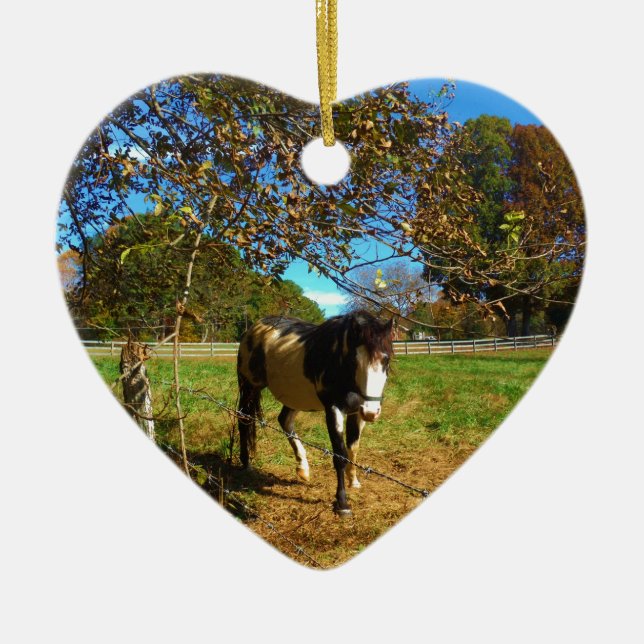 Ornamento De Cerâmica Cavalo Pintado, (Frente)