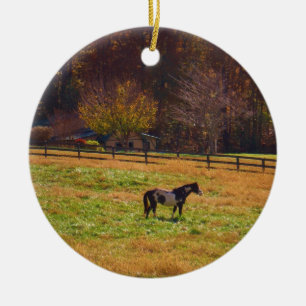 Ornamento De Cerâmica Cavalo Pintado à Distância