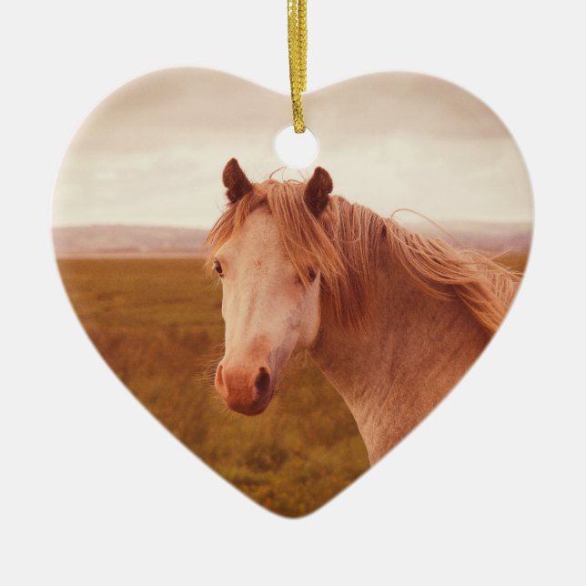 Ornamento De Cerâmica Cavalo selvagem do Vintage (Frente)
