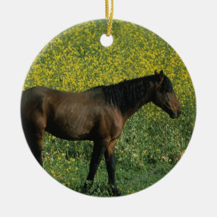 Ornamento De Cerâmica Cavalo Selvagem Mustang em Flores