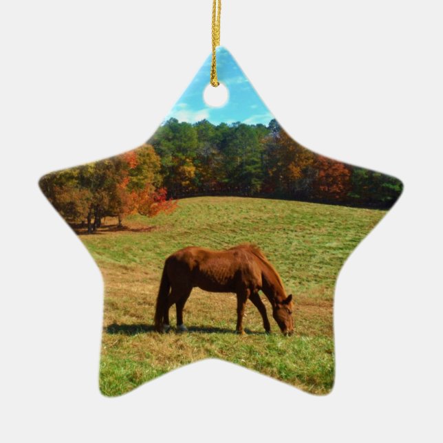 Ornamento De Cerâmica Cavalo Vermelho Castanho, céu azul Teal (Frente)