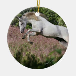 Ornamento De Cerâmica Cavalos da fantasia: Galope do primavera
