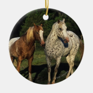 Ornamento De Cerâmica Cavalos do Appaloosa