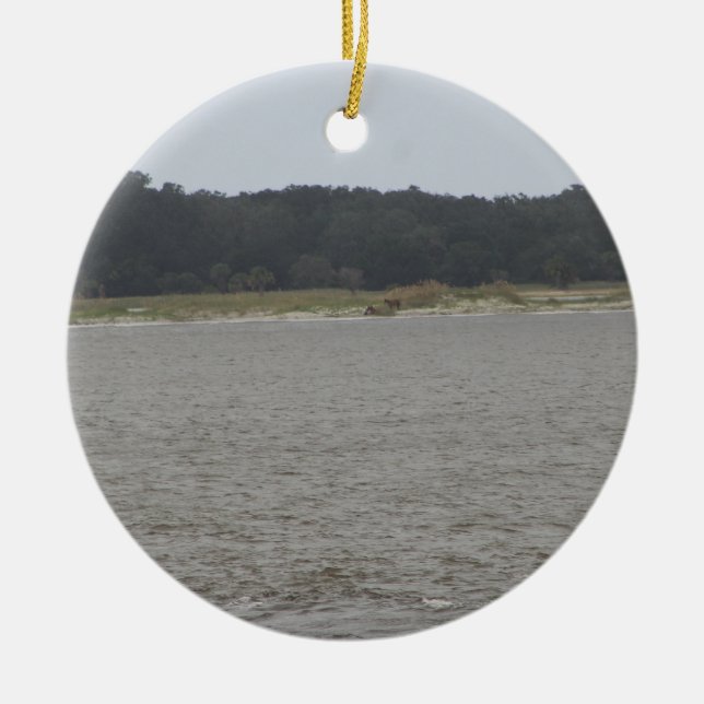 Ornamento De Cerâmica Cavalos Selvagens (Frente)