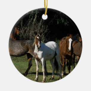 Ornamento De Cerâmica Cavalos selvagens 1 do mustang