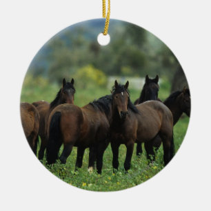 Ornamento De Cerâmica Cavalos selvagens 3 do mustang
