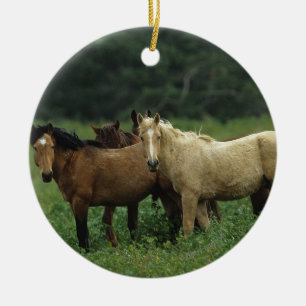 Ornamento De Cerâmica Cavalos selvagens 4 do mustang