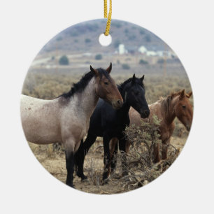 Ornamento De Cerâmica Cavalos selvagens 5 do mustang