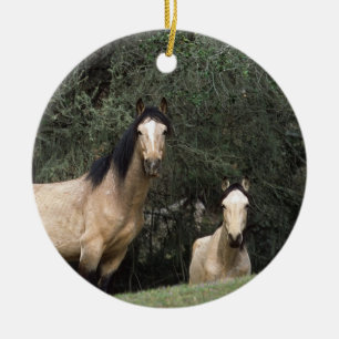 Ornamento De Cerâmica Cavalos selvagens 6 do mustang