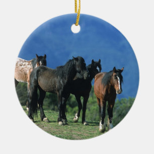 Ornamento De Cerâmica Cavalos selvagens do mustang nas montanhas