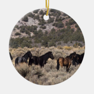 Ornamento De Cerâmica Cavalos selvagens do mustang no deserto 2