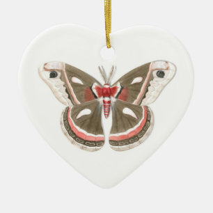 Ornamento De Cerâmica Cecropia Moth Ornament