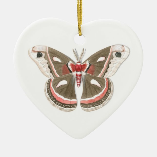 Ornamento De Cerâmica Cecropia Moth Ornament (Frente)