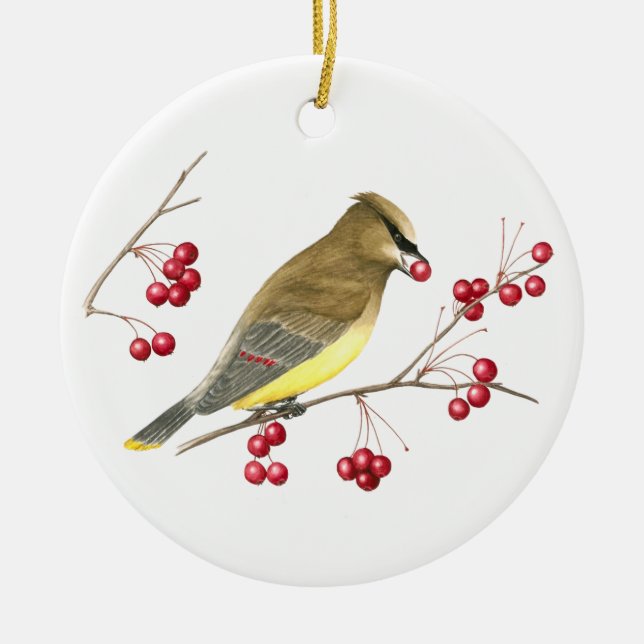 Ornamento De Cerâmica Cedar Waxwing Bird Art Ornament (Frente)