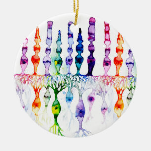 Ornamento De Cerâmica Células de cone e neurônio bipolar da retina