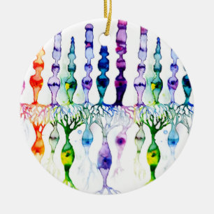 Ornamento De Cerâmica Células de cone e neurônio bipolar da retina