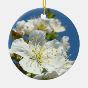 Ornamento De Cerâmica Cerejeiras na Primavera Branca Céu Azul personaliz