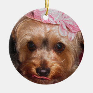 Ornamento De Cerâmica Chapéus Loving Yorkie II