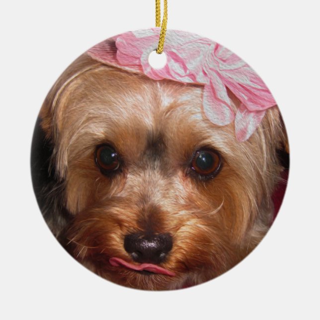Ornamento De Cerâmica Chapéus Loving Yorkie II (Frente)