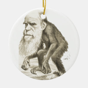 Ornamento De Cerâmica Charles Darwin o homem do macaco