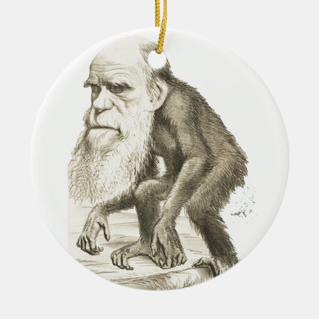 Ornamento De Cerâmica Charles Darwin o homem do macaco (Frente)