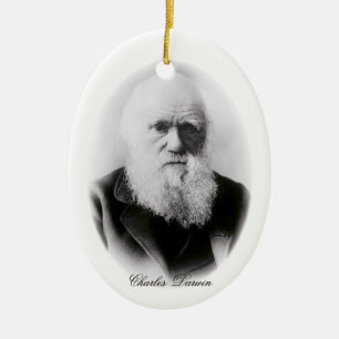 Ornamento De Cerâmica Charles Darwin Vignette