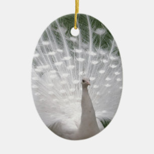 Ornamento De Cerâmica cheio de Pavão branco (Peafowl)