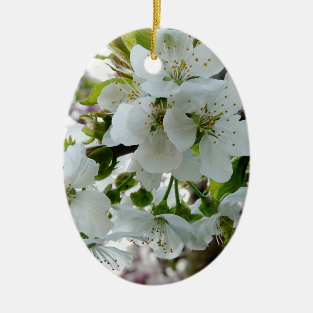 Ornamento De Cerâmica Cherry Blossom (Frente)