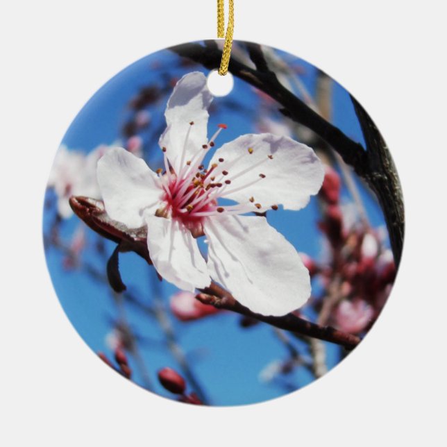 Ornamento De Cerâmica Cherry Blossom 2 (Frente)