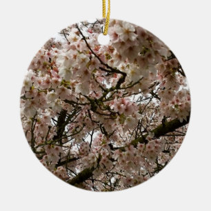Ornamento De Cerâmica Cherry Tree in Bloom, Oregon