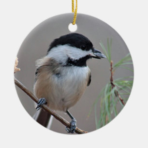 Ornamento De Cerâmica Chickadee