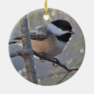 Ornamento De Cerâmica Chickadee
