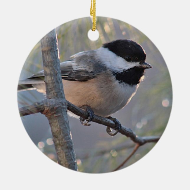 Ornamento De Cerâmica Chickadee (Traseira)