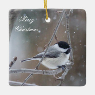 Ornamento De Cerâmica Chickadee na neve do inverno - aves canoras