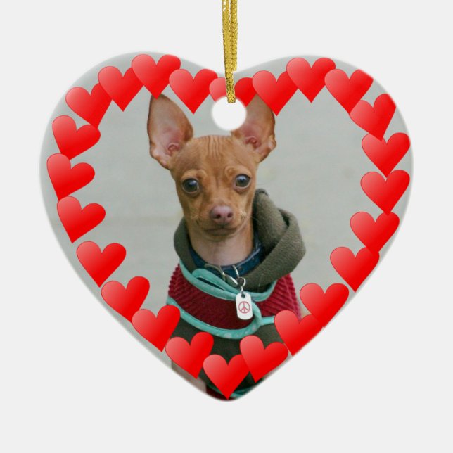 Ornamento De Cerâmica Chihuahua (Frente)
