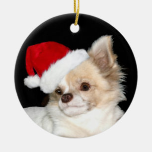 Ornamento De Cerâmica Chihuahua de cabelos compridos do Natal
