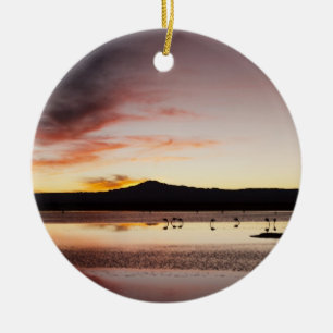 Ornamento De Cerâmica Chilena Flamingo