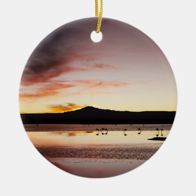 Ornamento De Cerâmica Chilena Flamingo (Frente)