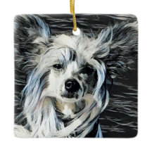 Chinese Crested
