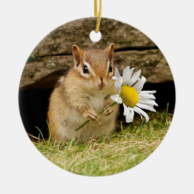 Ornamento De Cerâmica Chipmunk adorável do bebê com margarida (Frente)